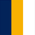 True Navy / Gold / White